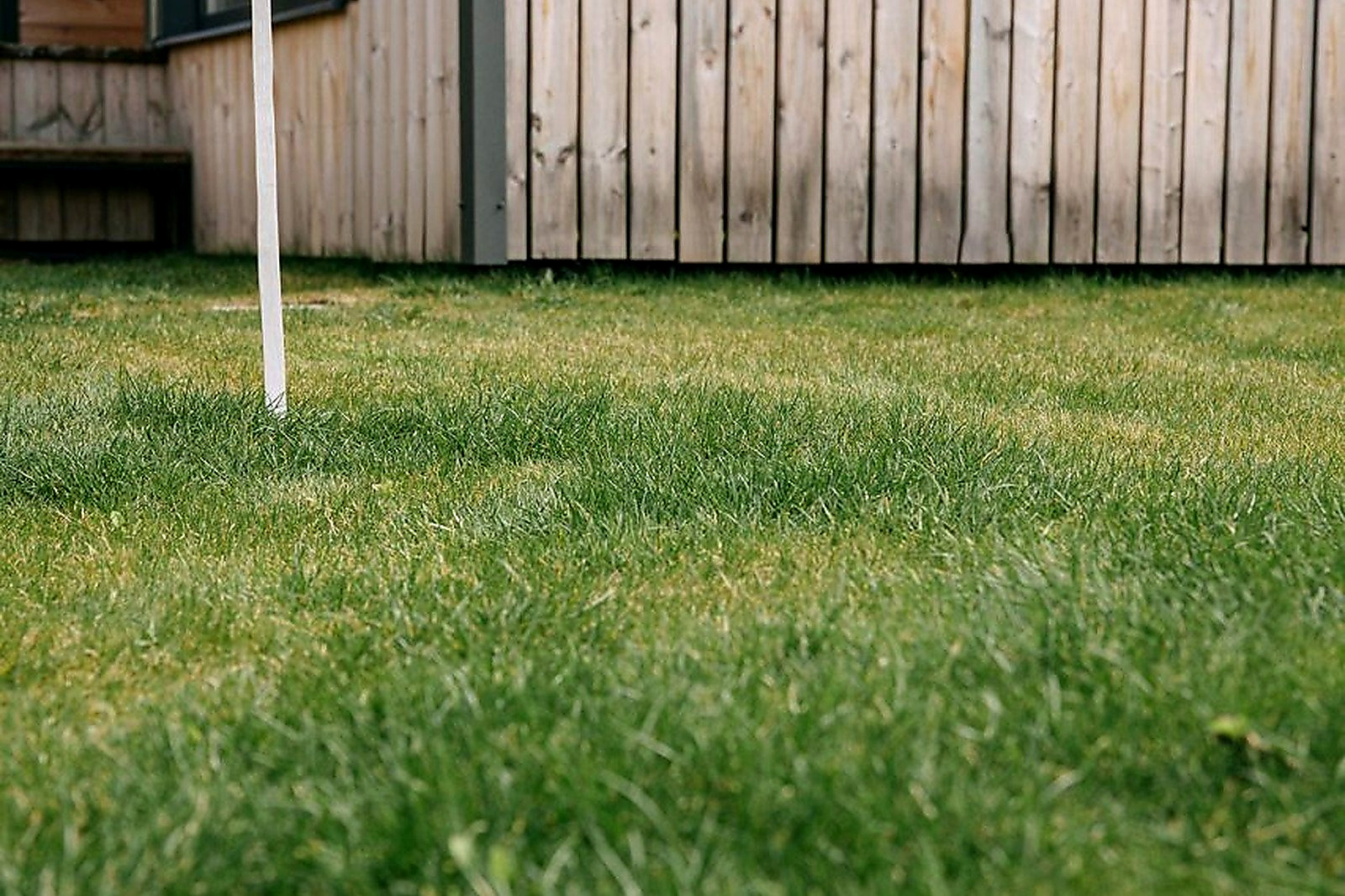 Free Red 'House for Rent' sign on green lawn with wooden house wall in background. Stock Photo